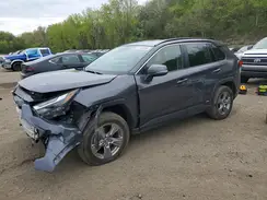 JTMRWRFV7SJ088572 2025 TOYOTA RAV 4