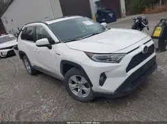 JTMRWRFV8KD027794 2019 TOYOTA RAV 4