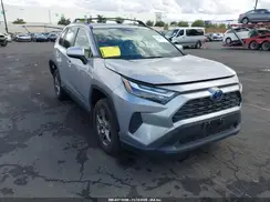JTMRWRFV8RD217248 2024 TOYOTA RAV 4