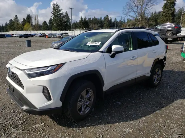 JTMRWRFV8RD224765 2024 TOYOTA RAV 4 - Image 1