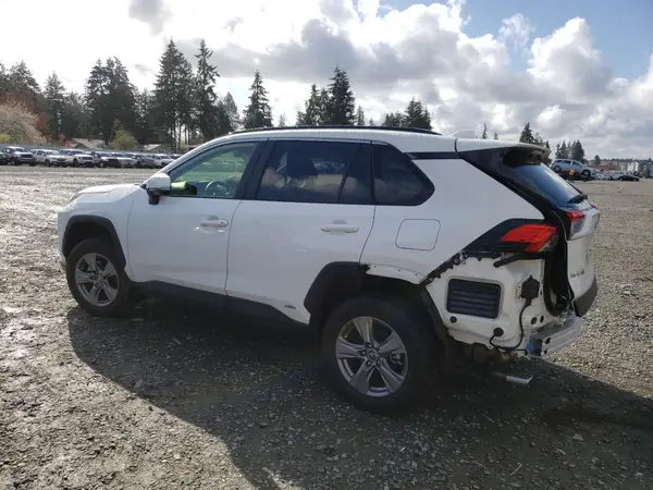 JTMRWRFV8RD224765 2024 TOYOTA RAV 4 - Image 2