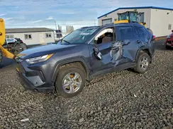 JTMRWRFV8RD227648 2024 TOYOTA RAV 4