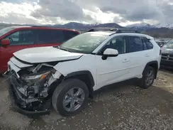 JTMRWRFV8RD238892 2024 TOYOTA RAV 4