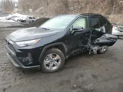JTMRWRFV8RD246510 2024 TOYOTA RAV 4