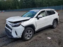 JTMRWRFV8RD270077 2024 TOYOTA RAV 4