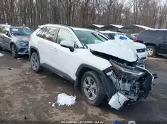 JTMRWRFV8RD270614 2024 TOYOTA RAV 4