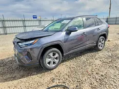 JTMRWRFV8SD310597 2025 TOYOTA RAV 4