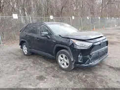 JTMRWRFV9LD044346 2020 TOYOTA RAV 4