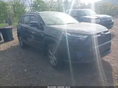 JTMRWRFV9PD168459 2023 TOYOTA RAV 4