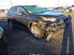 JTMRWRFV9RD214438 2024 TOYOTA RAV 4