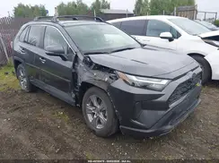 JTMRWRFV9RD239730 2024 TOYOTA RAV 4