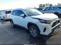 JTMRWRFV9RD246502 2024 TOYOTA RAV 4