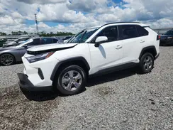JTMRWRFV9RD260335 2024 TOYOTA RAV 4
