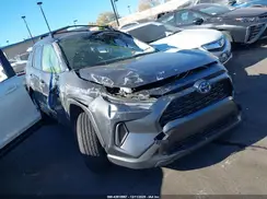 JTMRWRFV9RD266183 2024 TOYOTA RAV 4