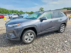 JTMRWRFV9RJ060024 2024 TOYOTA RAV 4