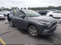 JTMRWRFV9SD287248 2025 TOYOTA RAV 4