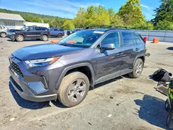 JTMRWRFV9SJ075015 2025 TOYOTA RAV 4