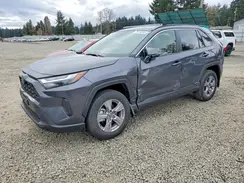 JTMRWRFV9SJ090856 2025 TOYOTA RAV 4