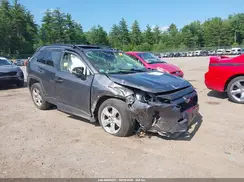 JTMRWRFVXKD500045 2019 TOYOTA RAV 4