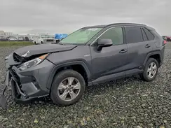 JTMRWRFVXLJ034927 2020 TOYOTA RAV 4