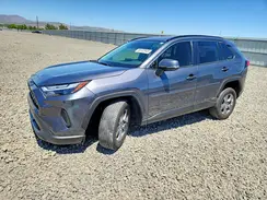 JTMRWRFVXPD206684 2023 TOYOTA RAV 4