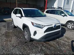 JTMRWRFVXRD233824 2024 TOYOTA RAV 4