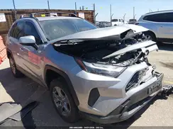 JTMRWRFVXRD237582 2024 TOYOTA RAV 4