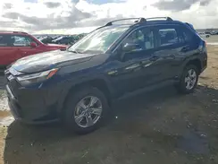 JTMRWRFVXRD245066 2024 TOYOTA RAV 4