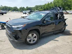 JTMRWRFVXRD272266 2024 TOYOTA RAV 4
