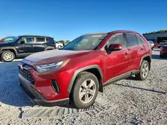 JTMRWRFVXSD307667 2025 TOYOTA RAV 4