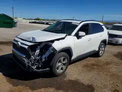 JTMW1RFV0KD017469 2019 TOYOTA RAV 4