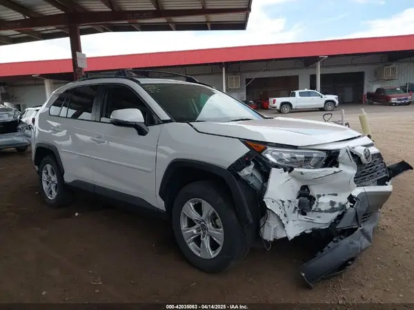 JTMW1RFV0KD026561 2019 TOYOTA RAV 4 - Image 1