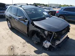 JTMW1RFV0KD032747 2019 TOYOTA RAV 4