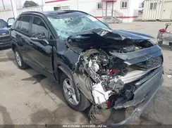 JTMW1RFV0KD513744 2019 TOYOTA RAV 4