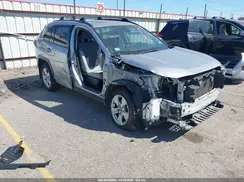JTMW1RFV1KD507709 2019 TOYOTA RAV 4