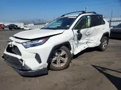JTMW1RFV1PD105048 2023 TOYOTA RAV 4
