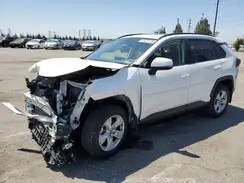 JTMW1RFV2KD029087 2019 TOYOTA RAV 4