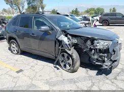 JTMW1RFV2KD030773 2019 TOYOTA RAV 4