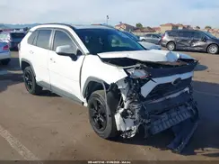 JTMW1RFV2KD511591 2019 TOYOTA RAV 4