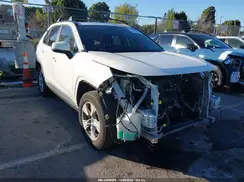 JTMW1RFV4KD509180 2019 TOYOTA RAV 4