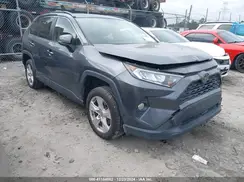 JTMW1RFV4KD516081 2019 TOYOTA RAV 4