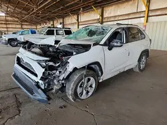 JTMW1RFV6KD501596 2019 TOYOTA RAV 4