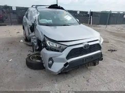 JTMW1RFV6KD504398 2019 TOYOTA RAV 4