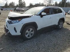 JTMW1RFV6KD508063 2019 TOYOTA RAV 4