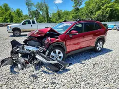 JTMW1RFV7KJ013954 2019 TOYOTA RAV 4