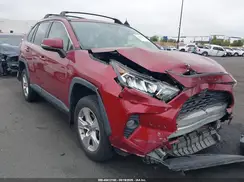 JTMW1RFV7KJ014568 2019 TOYOTA RAV 4