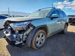 JTMW1RFV7RD115621 2024 TOYOTA RAV 4