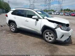 JTMW1RFV8KD032916 2019 TOYOTA RAV 4