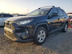 JTMW1RFV9KD024369 2019 TOYOTA RAV 4