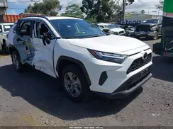 JTMW1RFVXPD112838 2023 TOYOTA RAV 4